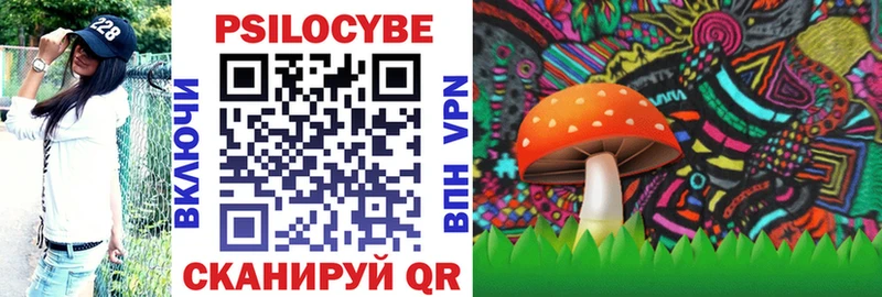 Галлюциногенные грибы GOLDEN TEACHER  Купить закладки  Бодайбо 